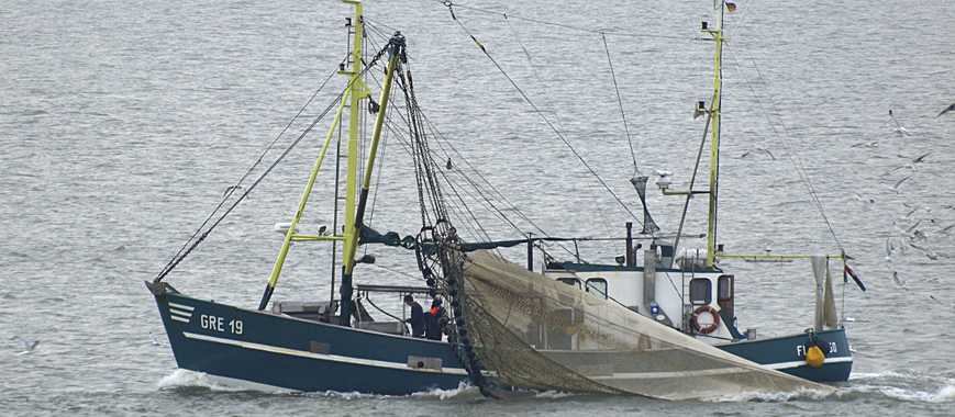 Fischkutter beim Inselhus auf Norderney