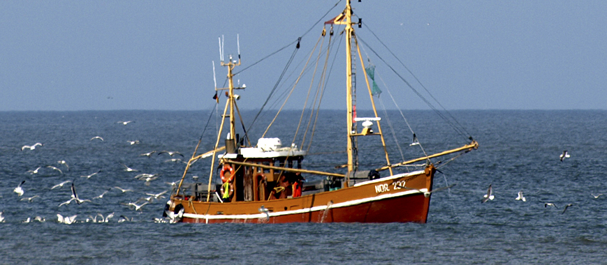 endloser Stand auf Norderney